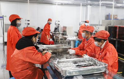 數字引擎驅動新篇章 岳陽市2021年產業項目建設流動現場會聚焦華容縣數碼產業發展